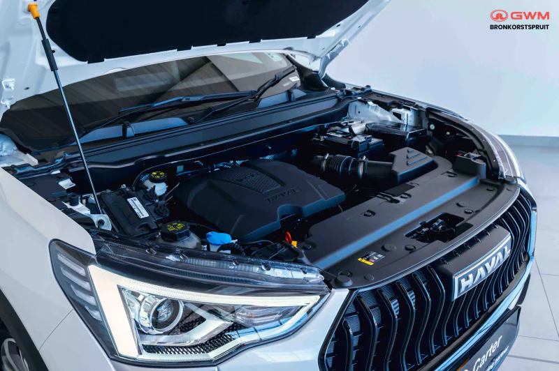Vehicle Image for 9/24for Haval Jolion 1.5T City 6MT